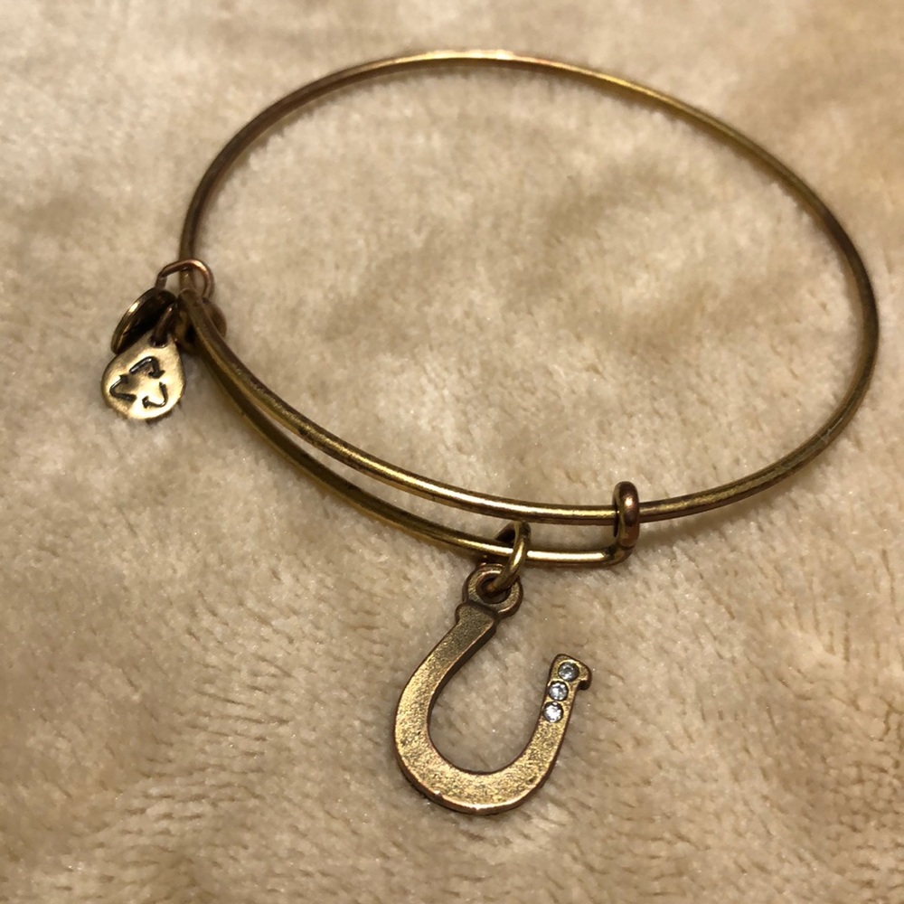 ALEX AND ANI expandable bracelet! Saratoga.